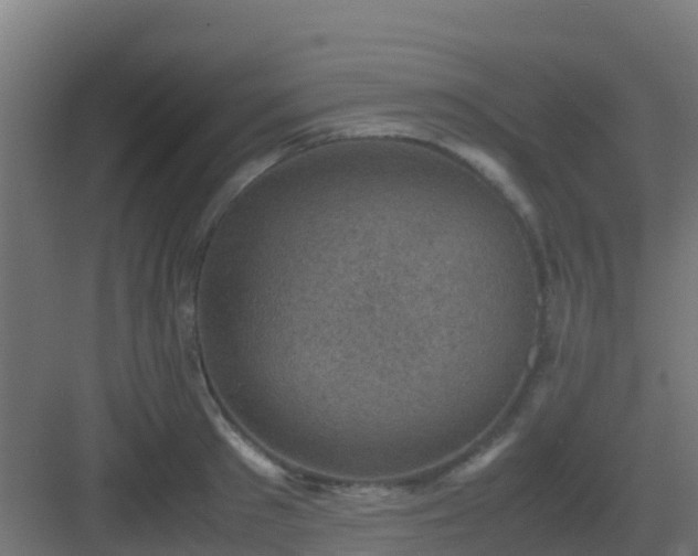 X0000082990897200702081831