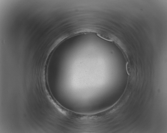 X0000082990898200702081831