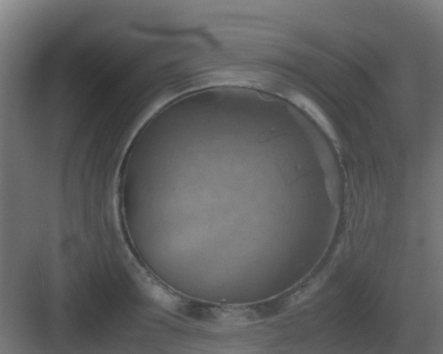 X0000082990899200702081831