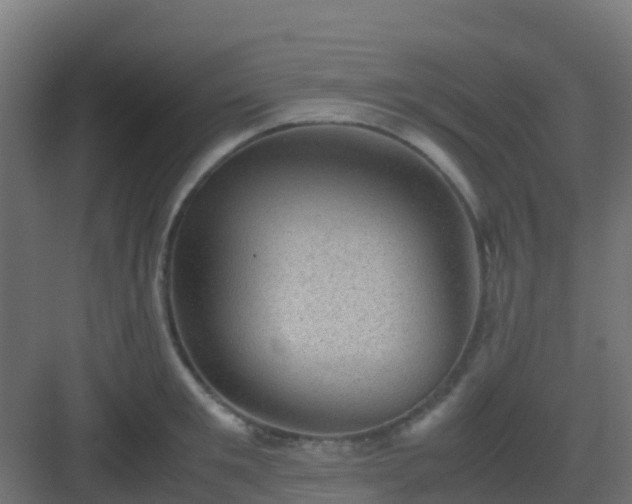 X0000082990901200702081831