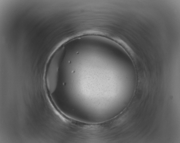 X0000082990902200702081831