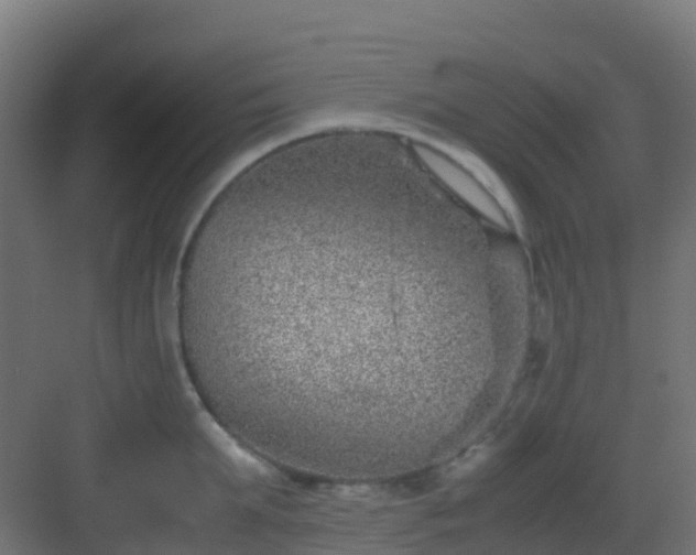 X0000082990903200702081831