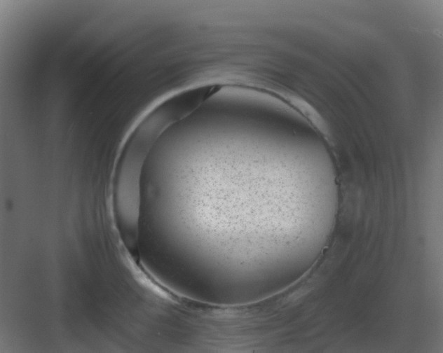 X0000082990904200702081831