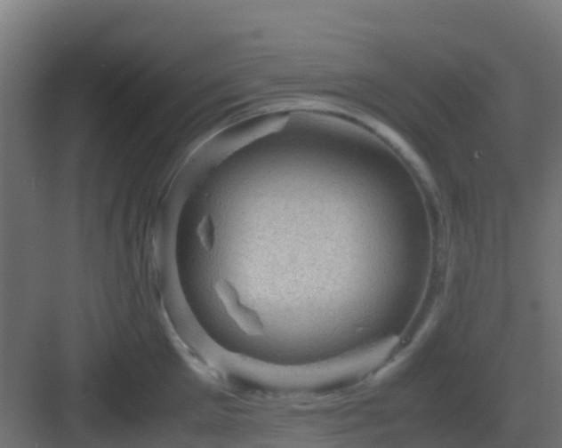 X0000082990905200702081831