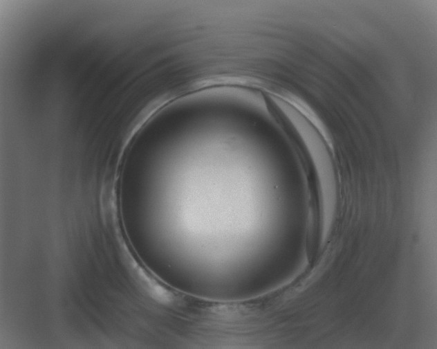 X0000082990906200702081831