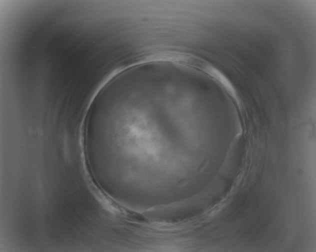 X0000082990907200702081831