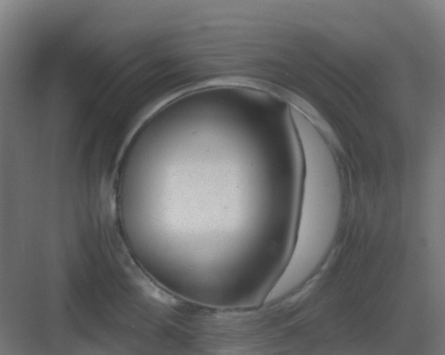 X0000082990908200702081831