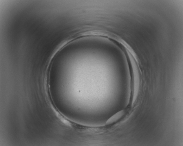 X0000082990909200702081831