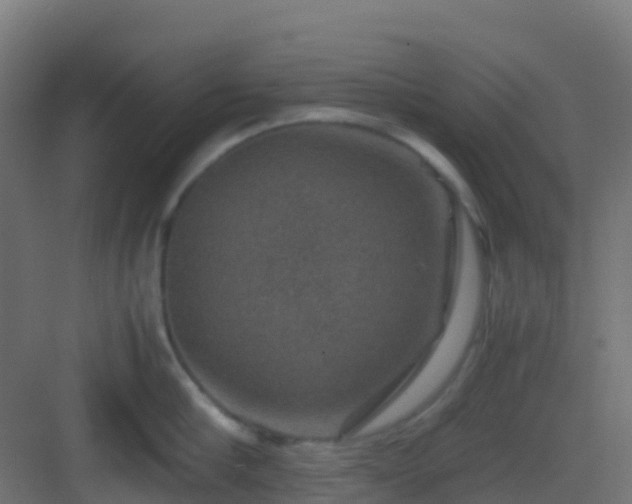 X0000082990910200702081831