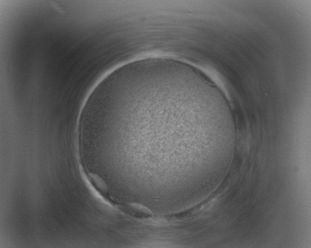 X0000082990911200702081831