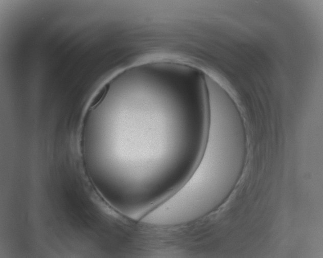 X0000082990912200702081831