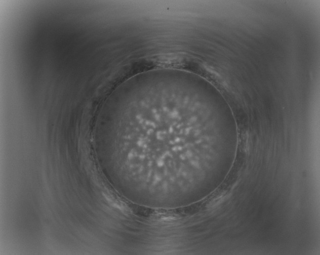 X0000082990913200702081830