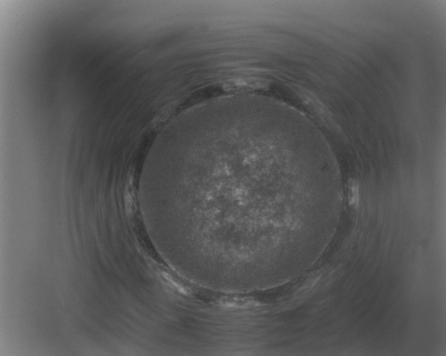 X0000082990915200702081830