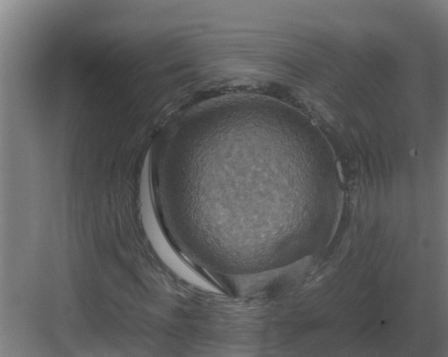 X0000082990916200702081830