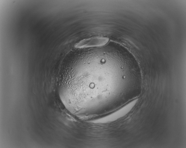 X0000082990917200702081830