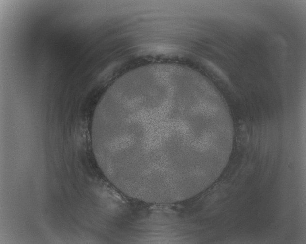 X0000082990918200702081830