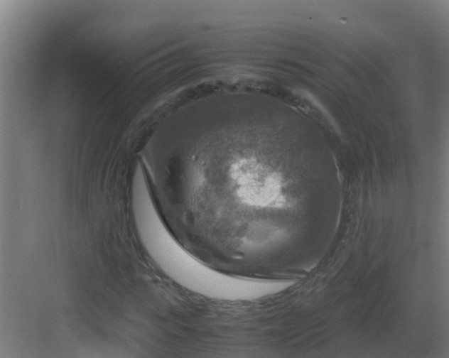 X0000082990919200702081830