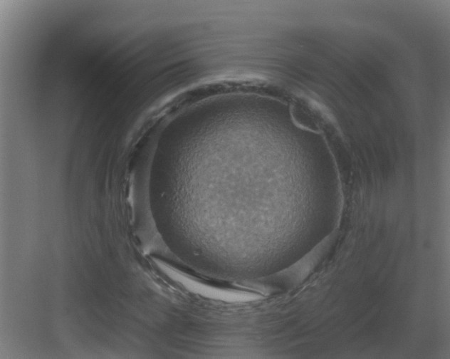 X0000082990920200702081830