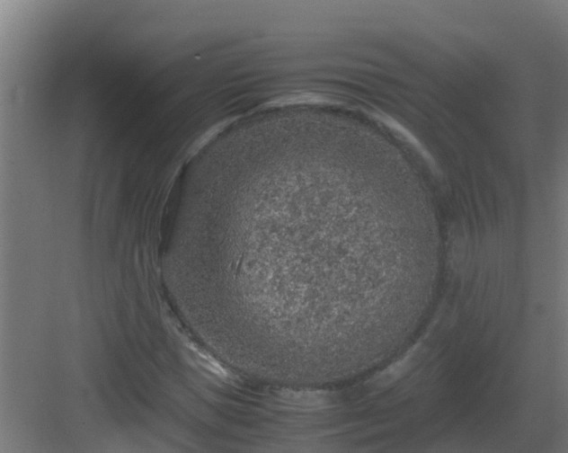 X0000082990921200702081830