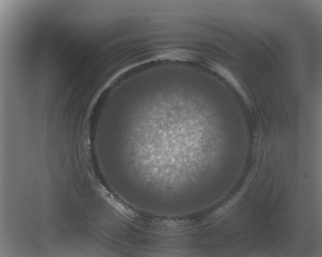 X0000082990923200702081830