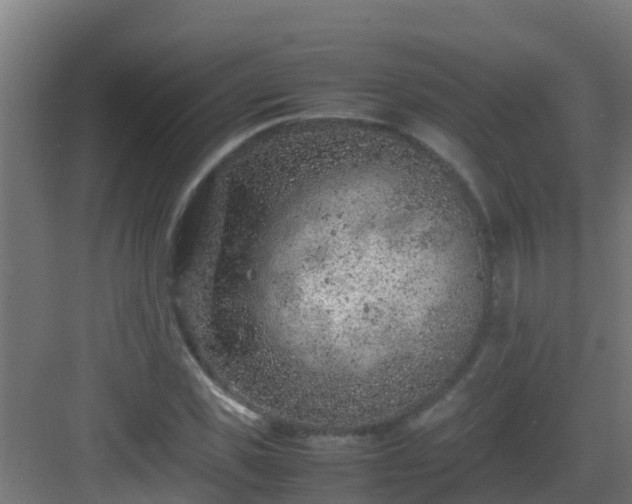 X0000082990925200702081830