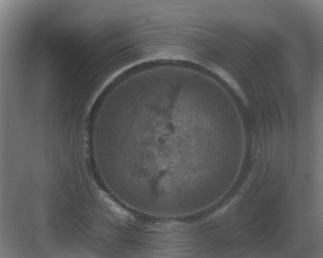 X0000082990926200702081830