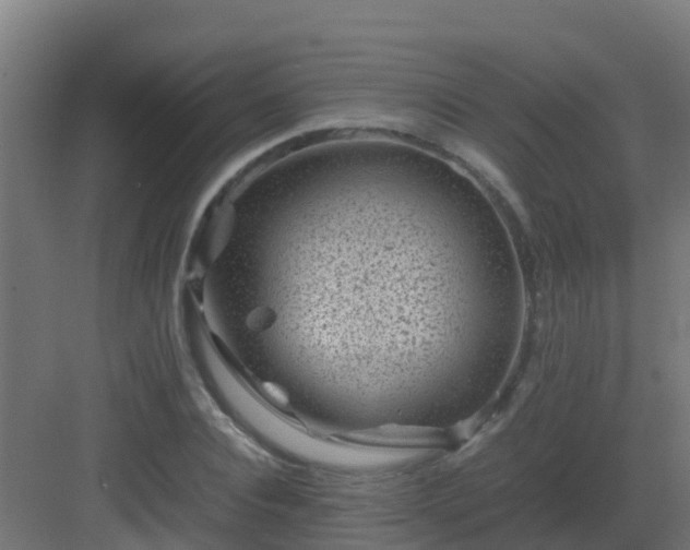 X0000082990928200702081830