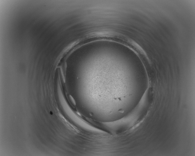 X0000082990930200702081830