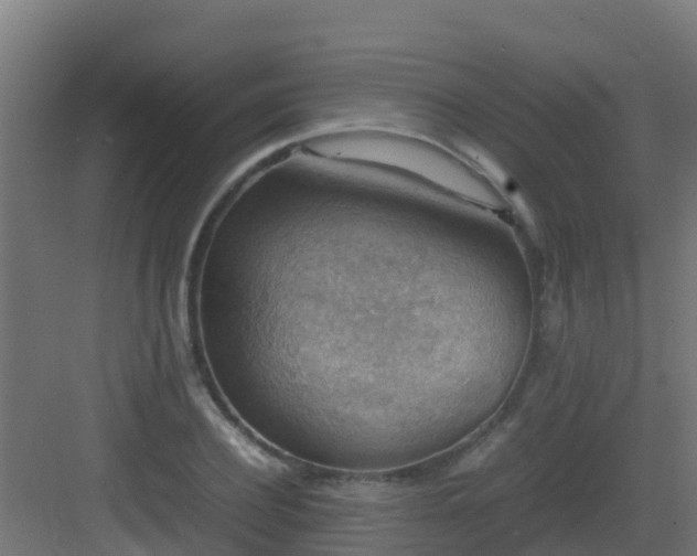 X0000082990932200702081830