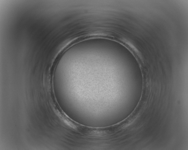 X0000082990933200702081830