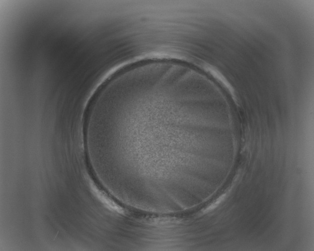 X0000082990934200702081830