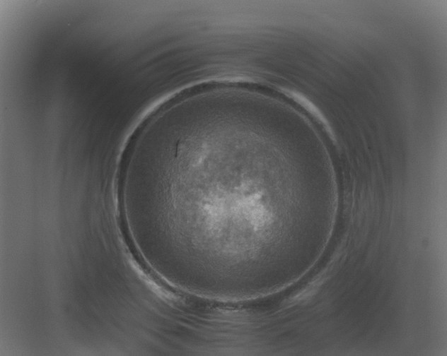 X0000082990935200702081830