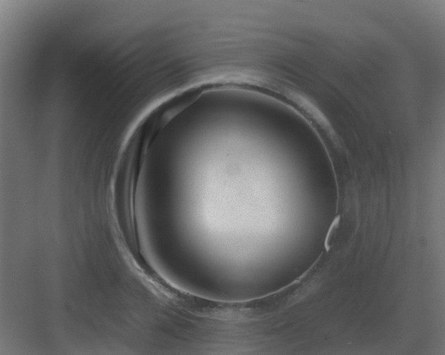 X0000082990936200702081830