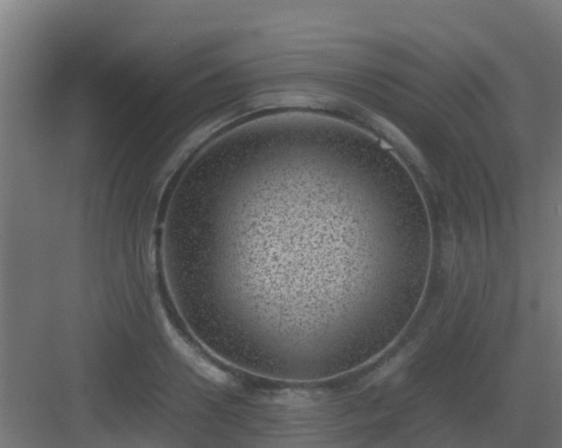 X0000082990938200702081830