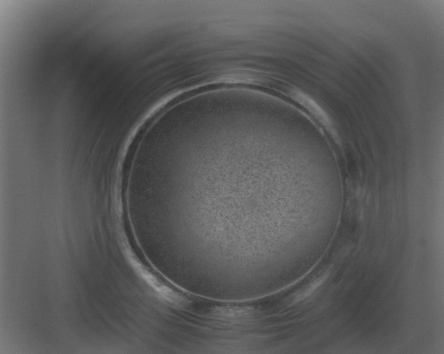 X0000082990939200702081830