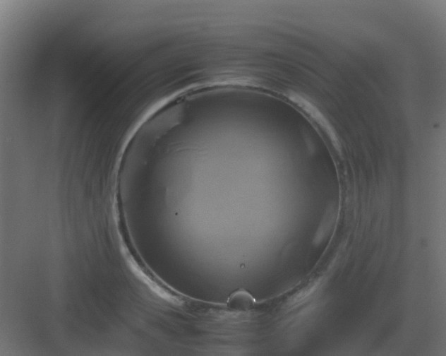 X0000082990941200702081830