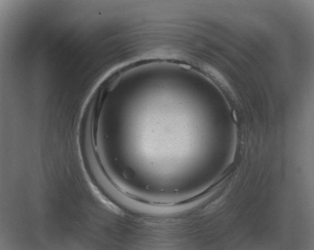 X0000082990942200702081830