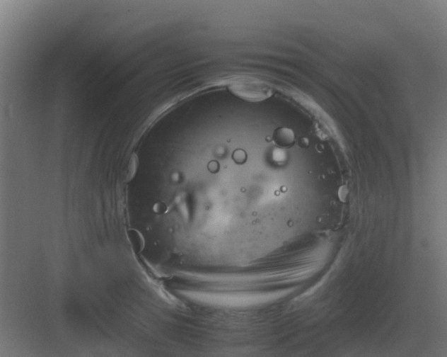 X0000082990945200702081831