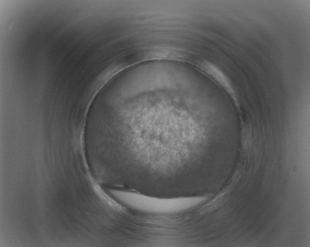 X0000082990946200702081831