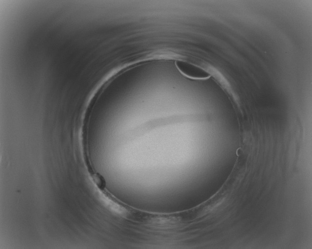 X0000082990947200702081831