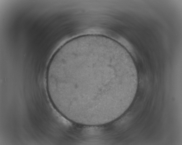 X0000082990950200702081831