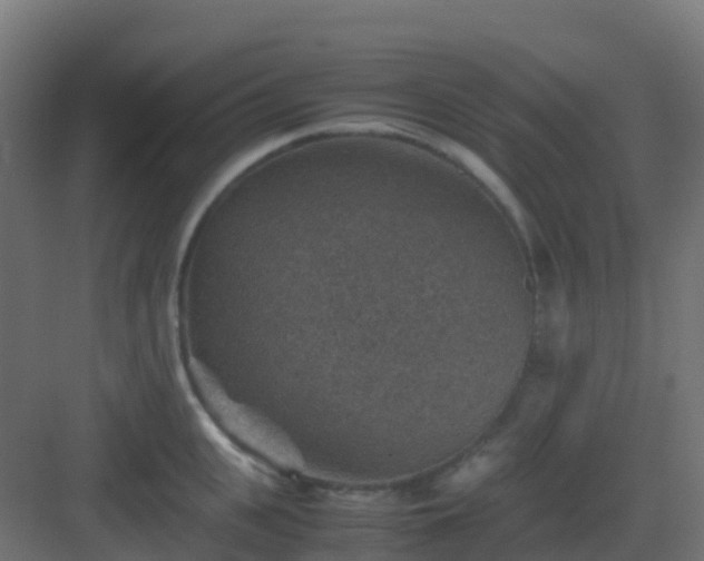 X0000082990951200702081831