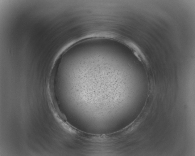 X0000082990952200702081831