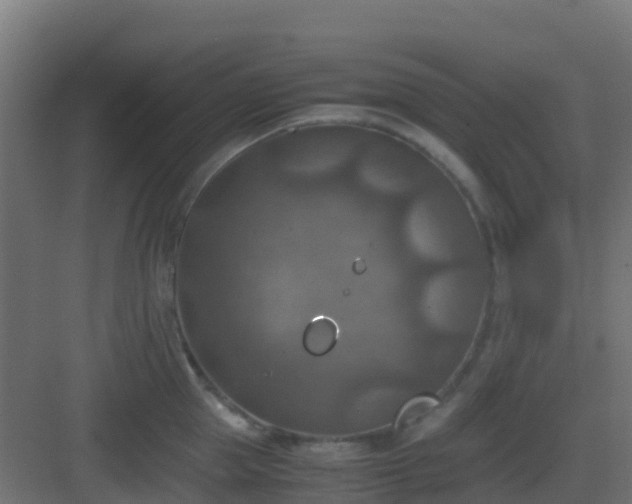 X0000082990953200702081831