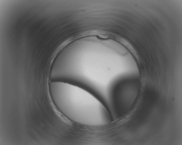 X0000082990954200702081831