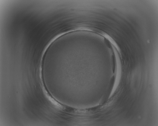 X0000082990955200702081831