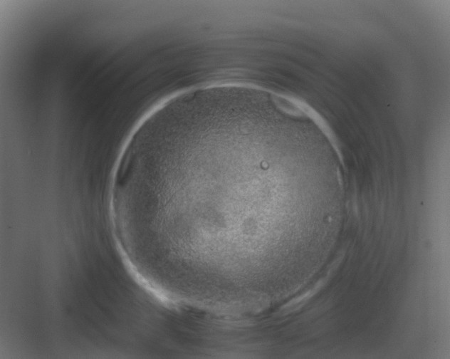 X0000082990957200702081831