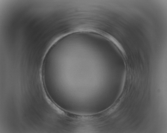 X0000082990958200702081831