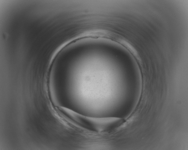 X0000082990960200702081831