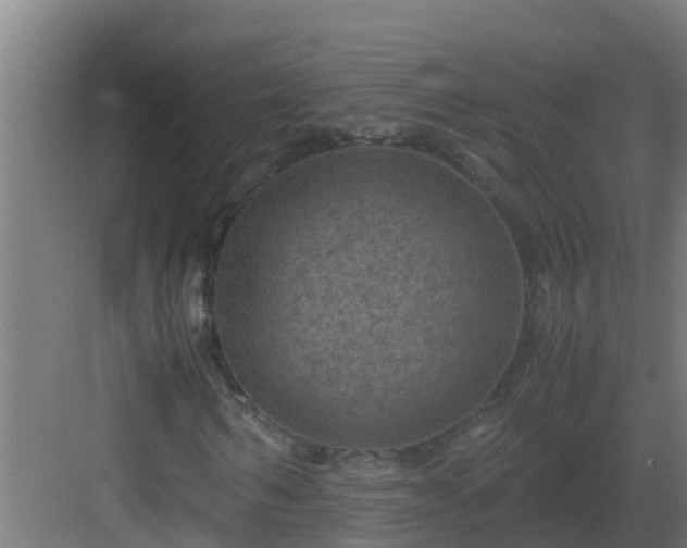 X0000082990962200702081830